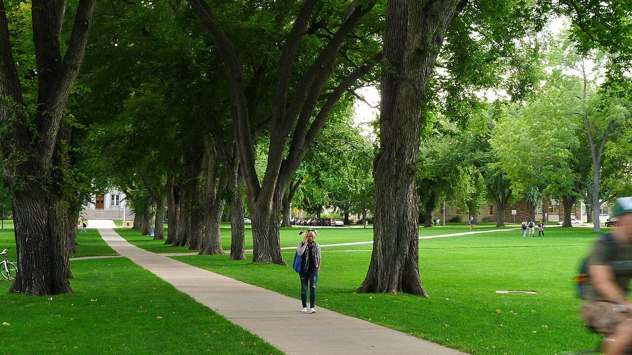 Colorado State Debate Club cover image