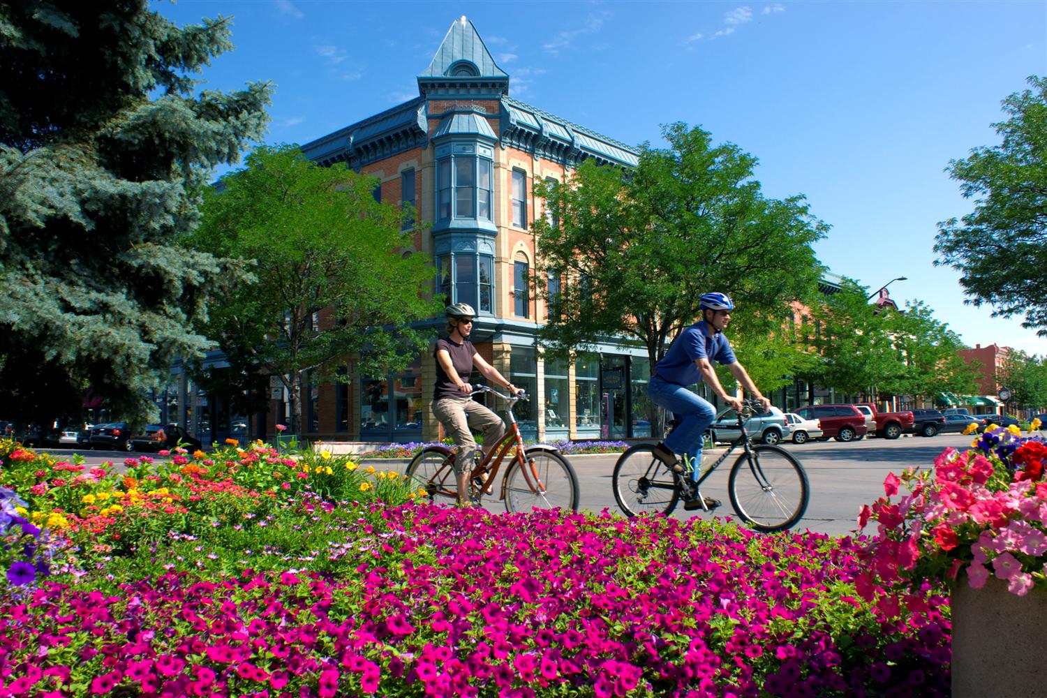 Cover image for Fort Collins Debate Club